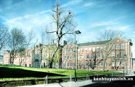 Đại học Sheffield